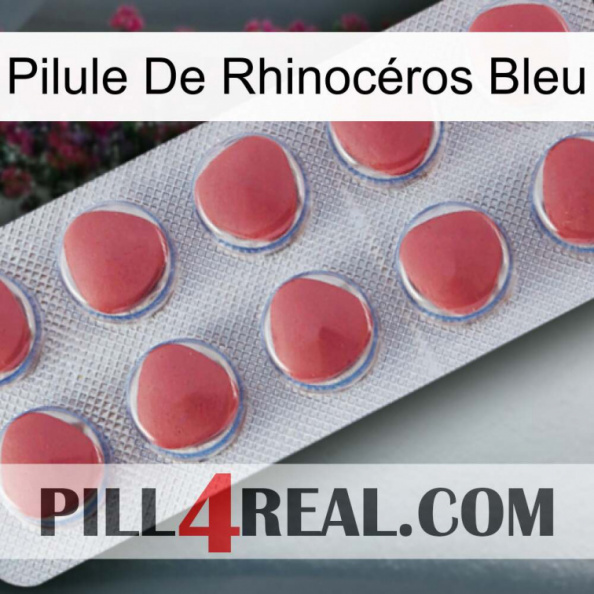 Pilule De Rhinocéros Bleu 18